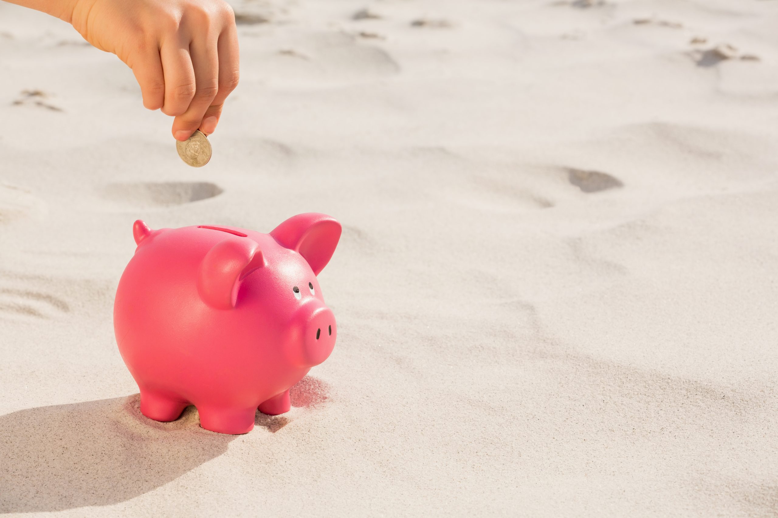 Hand putting a coin in the piggy bank affordable rates