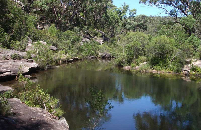 Sutherland Shire Waterfall