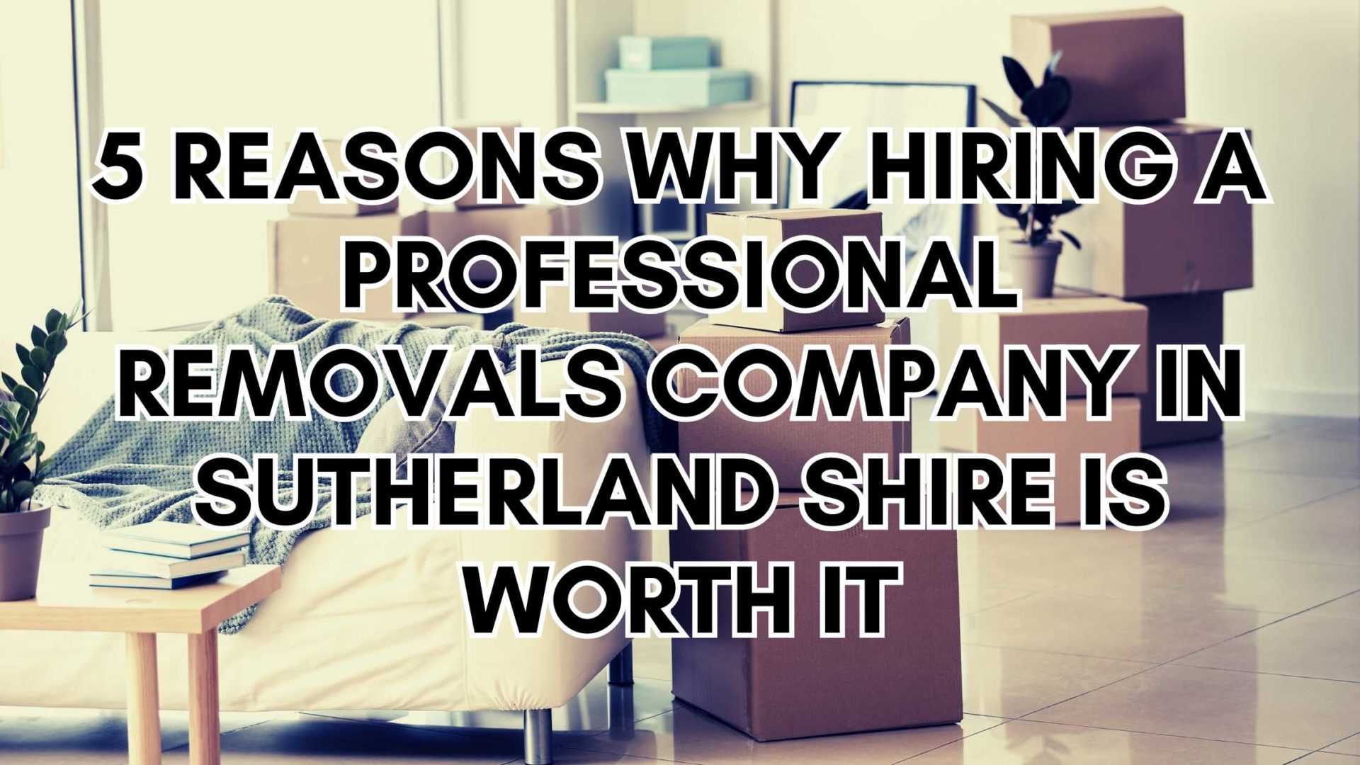 5 Reasons Why Hiring a Professional Removals Company in Sutherland Shire is Worth It