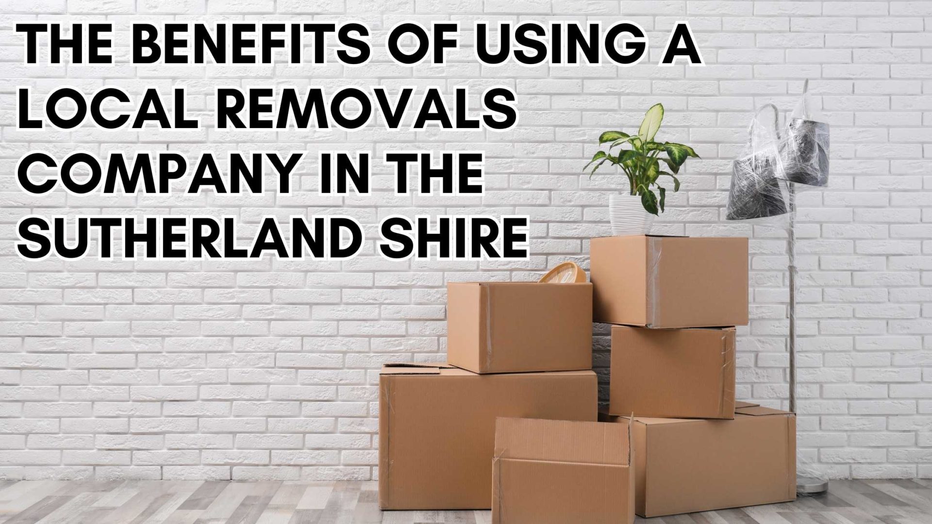 The Benefits of Using a Local Removals Company in the Sutherland Shire