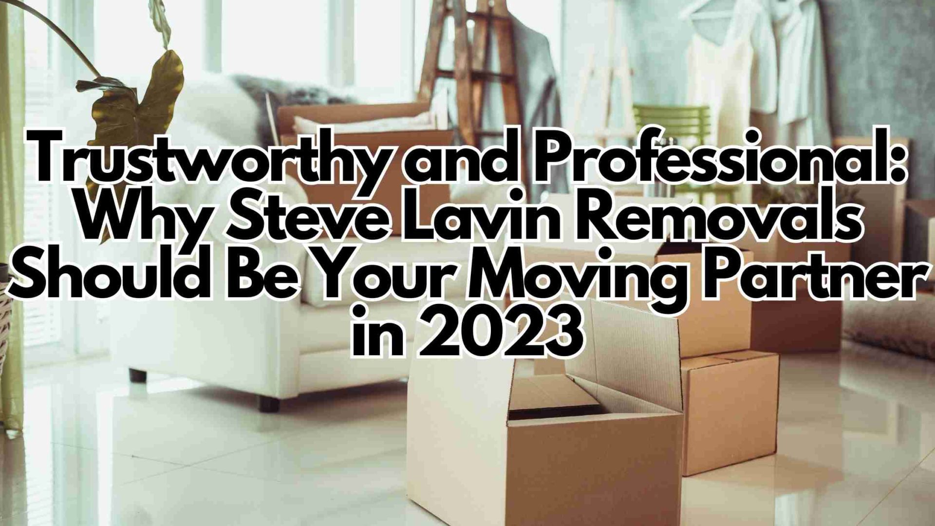 Trustworthy and Professional: Why Steve Lavin Removals Should Be Your Moving Partner in 2023